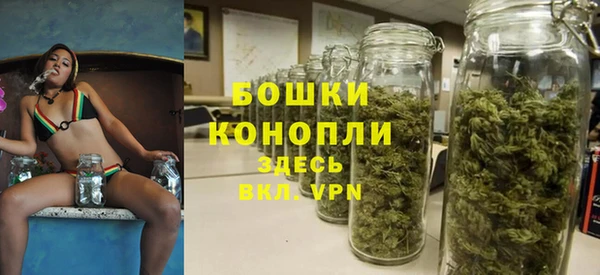мяу мяу мука Горняк
