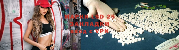 ГАЛЛЮЦИНОГЕННЫЕ ГРИБЫ Вязники